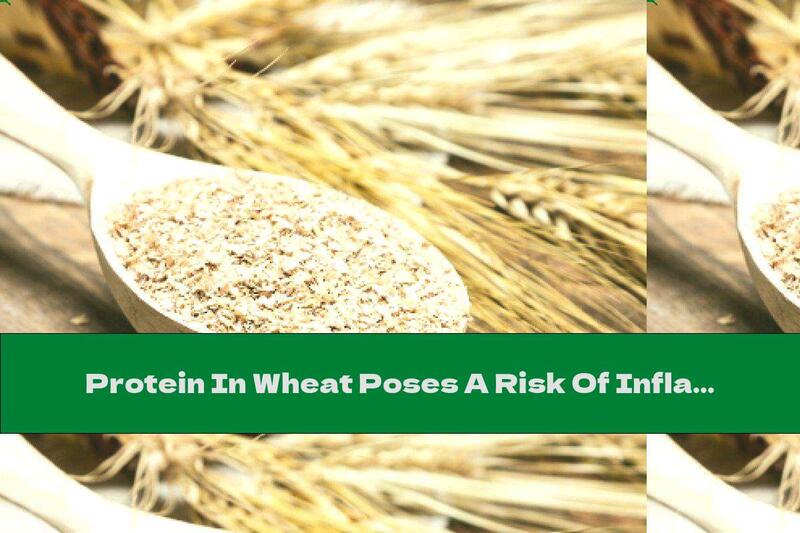 Protein In Wheat Poses A Risk Of Inflammatory Diseases