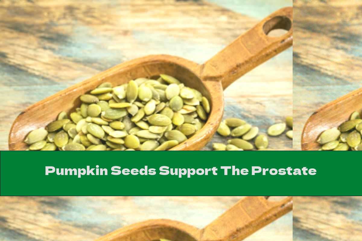 Pumpkin Seeds Support The Prostate
