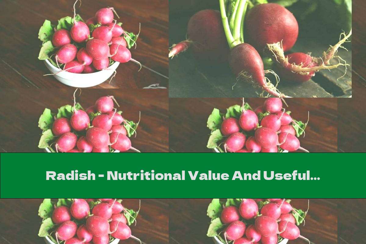 Radish Nutritional Value And Useful Properties This Nutrition