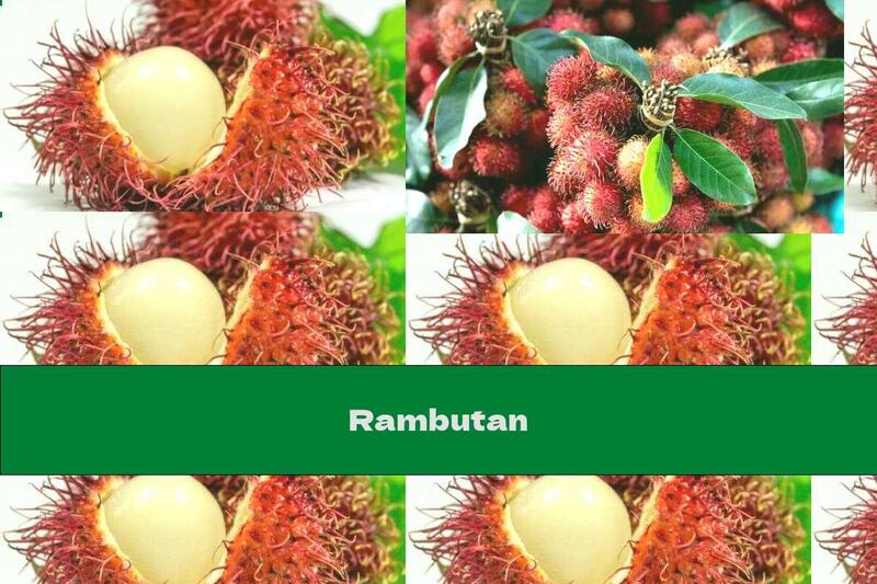 Rambutan