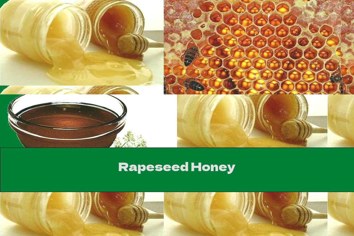 Rapeseed Honey