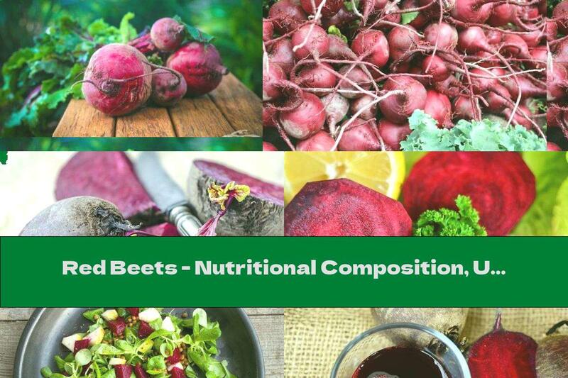 Red Beets - Nutritional Composition, Useful Properties And Harms
