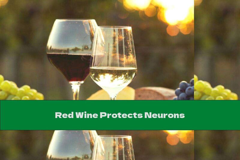 Red Wine Protects Neurons