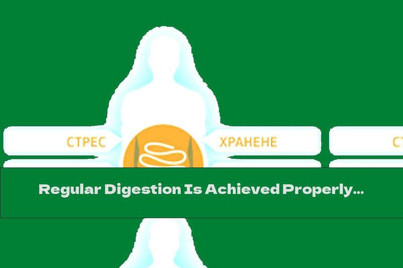Regular Digestion Is Achieved Properly With Probiotics