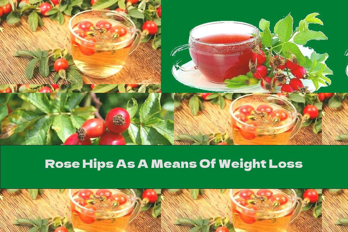 Rose Hips As A Means Of Weight Loss