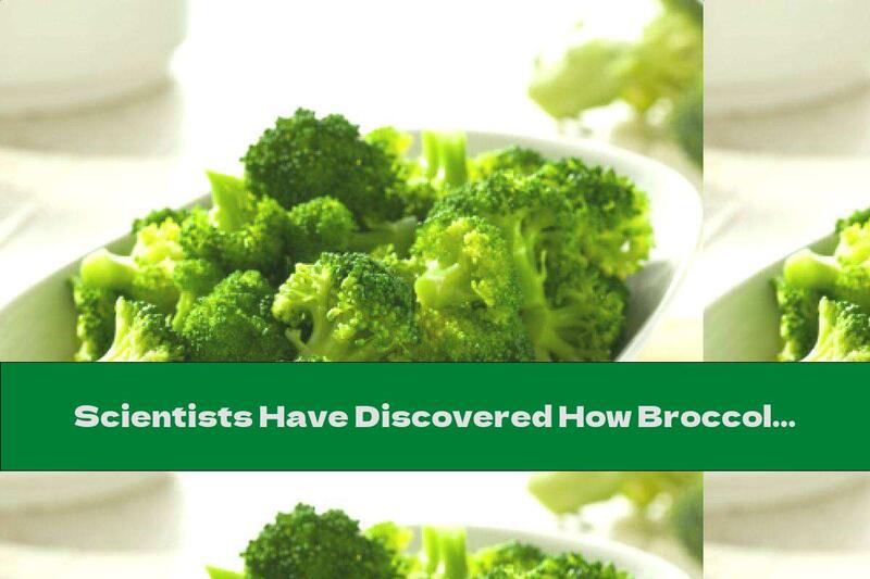 Scientists Have Discovered How Broccoli Protects Us From Cancer