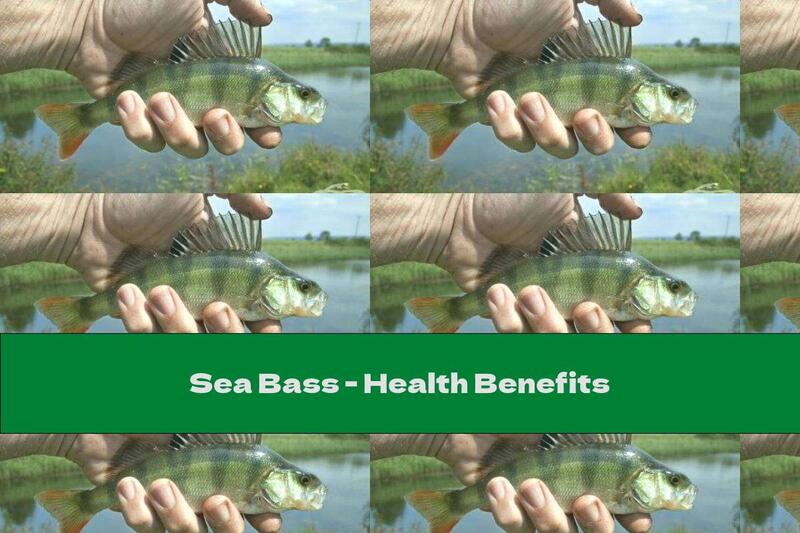 Sea Bass - Health Benefits