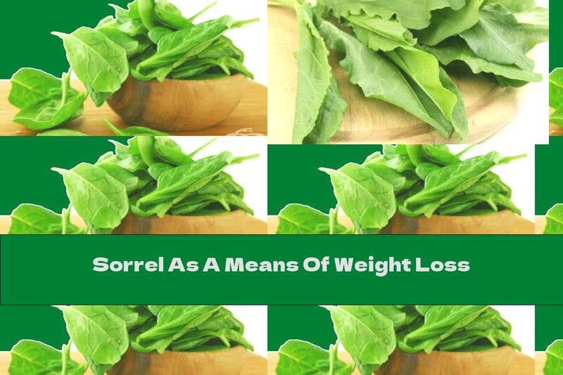 Sorrel As A Means Of Weight Loss