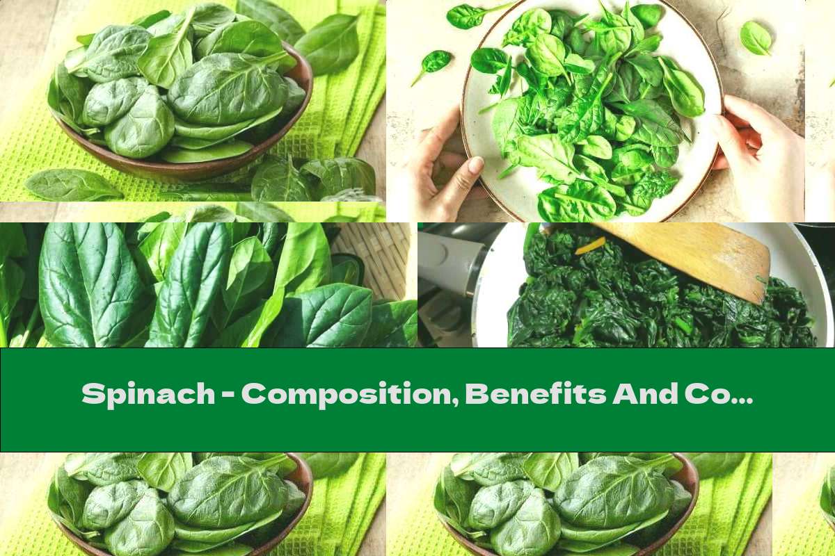 Spinach - Composition, Benefits And Contraindications