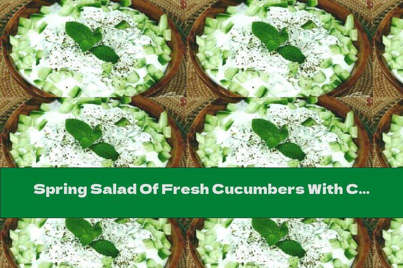 Spring Salad Of Fresh Cucumbers With Cream And Honey