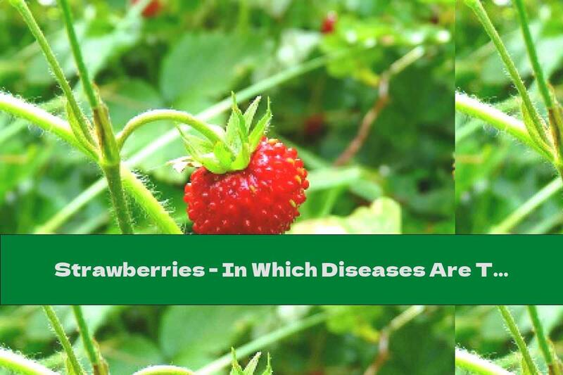 Strawberries - In Which Diseases Are They Useful?