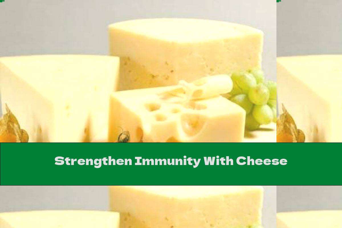 Strengthen Immunity With Cheese
