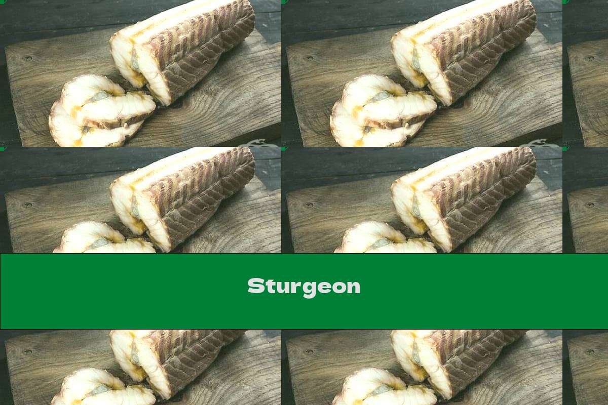 Sturgeon