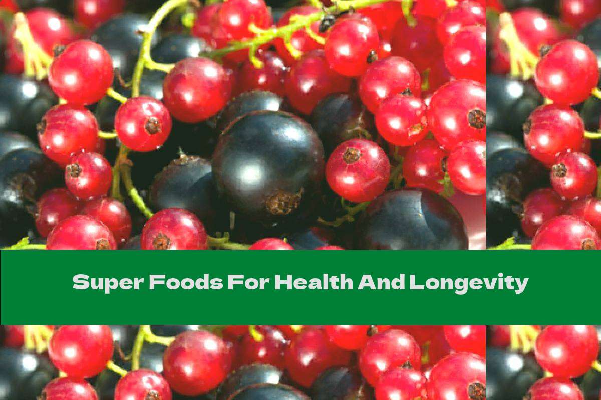 Super Foods For Health And Longevity