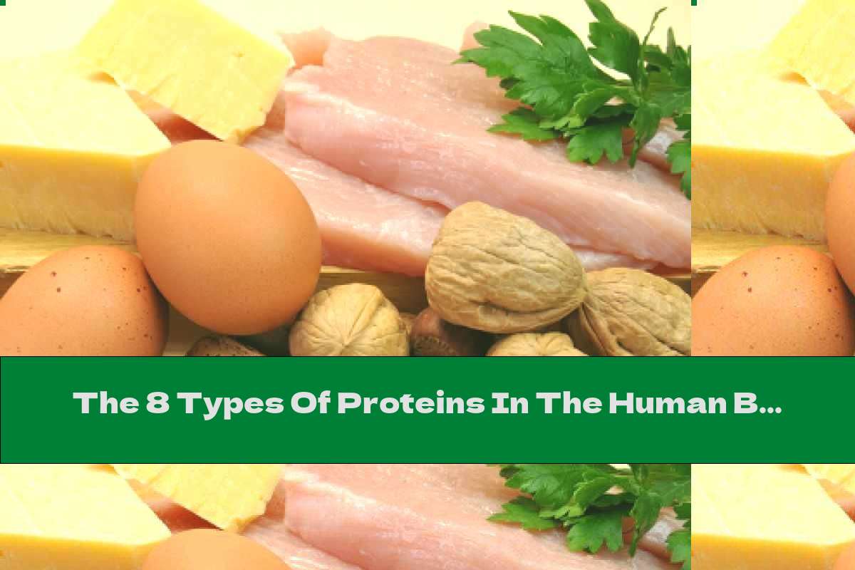 The 8 Types Of Proteins In The Human Body This Nutrition