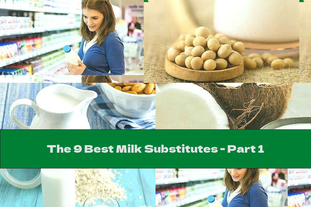The 9 Best Milk Substitutes - Part 1