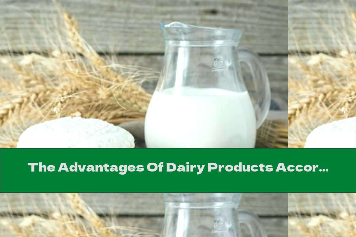 The Advantages Of Dairy Products According To BDS