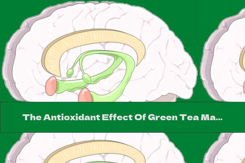 The Antioxidant Effect Of Green Tea May Be Beneficial In Alzheimer's Disease