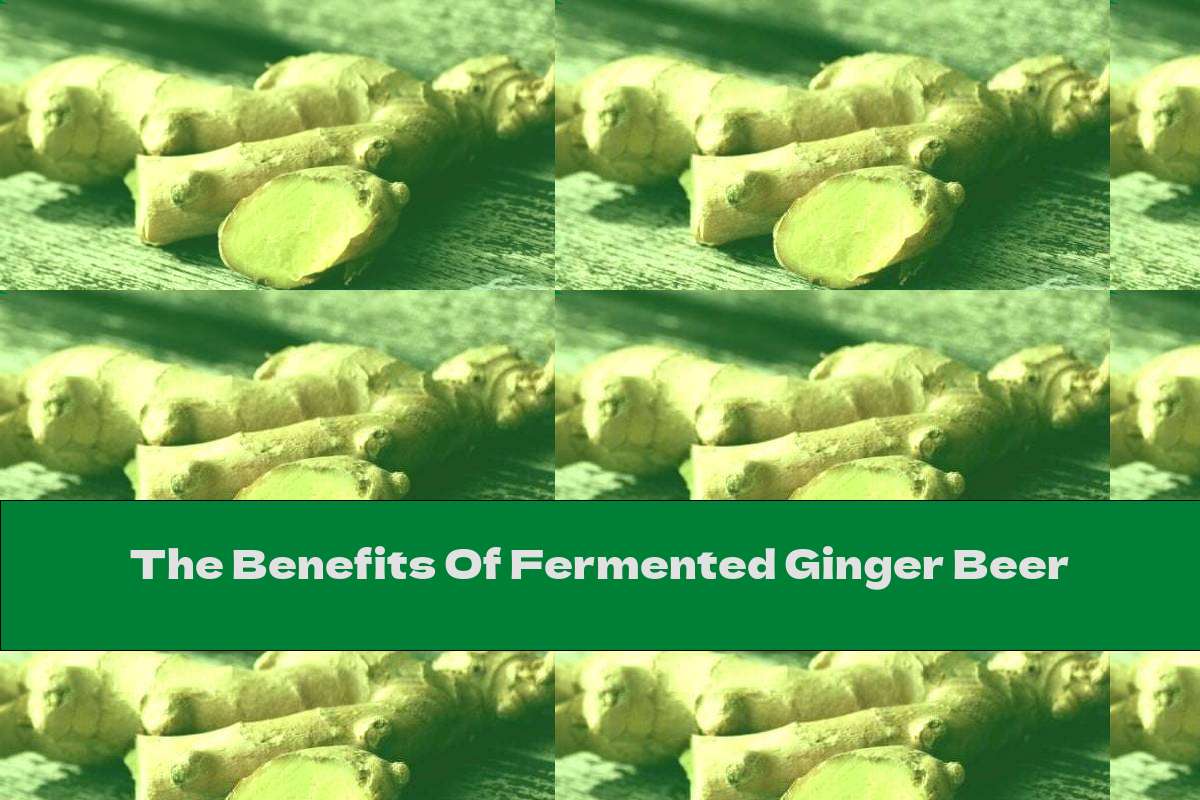 The Benefits Of Fermented Ginger Beer