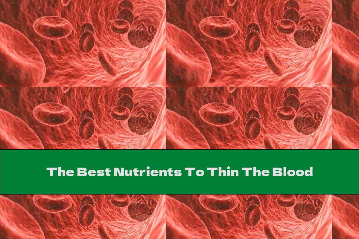 The Best Nutrients To Thin The Blood This Nutrition