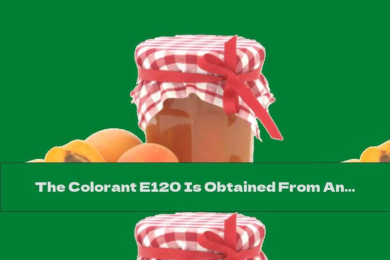 The Colorant E120 Is Obtained From An Insect!