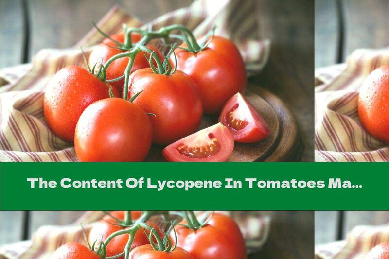The Content Of Lycopene In Tomatoes Makes It Valuable Against Cancer
