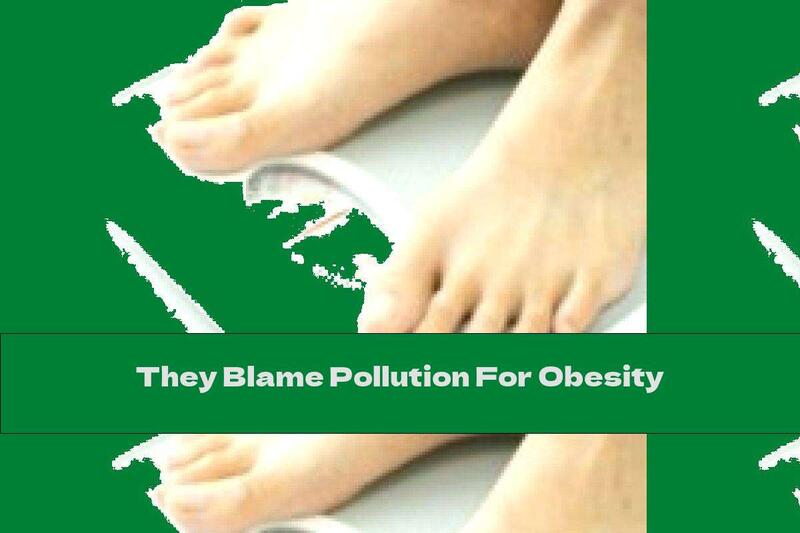They Blame Pollution For Obesity