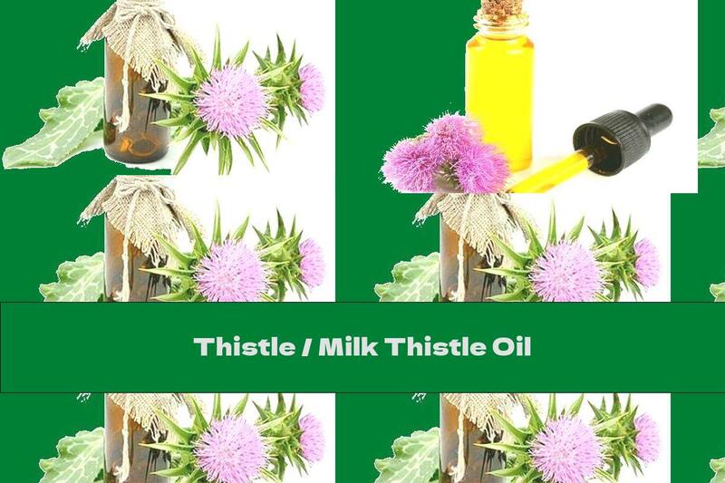 Thistle / Milk Thistle Oil