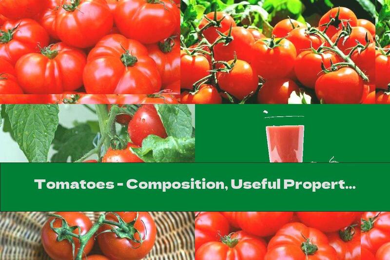 Tomatoes - Composition, Useful Properties And Contraindications