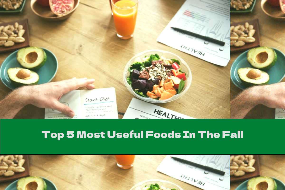 Top 5 Most Useful Foods In The Fall