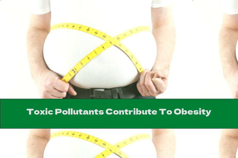 Toxic Pollutants Contribute To Obesity
