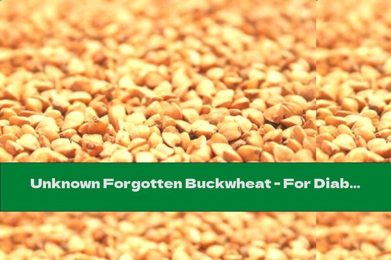 Unknown Forgotten Buckwheat - For Diabetes And Other Diseases