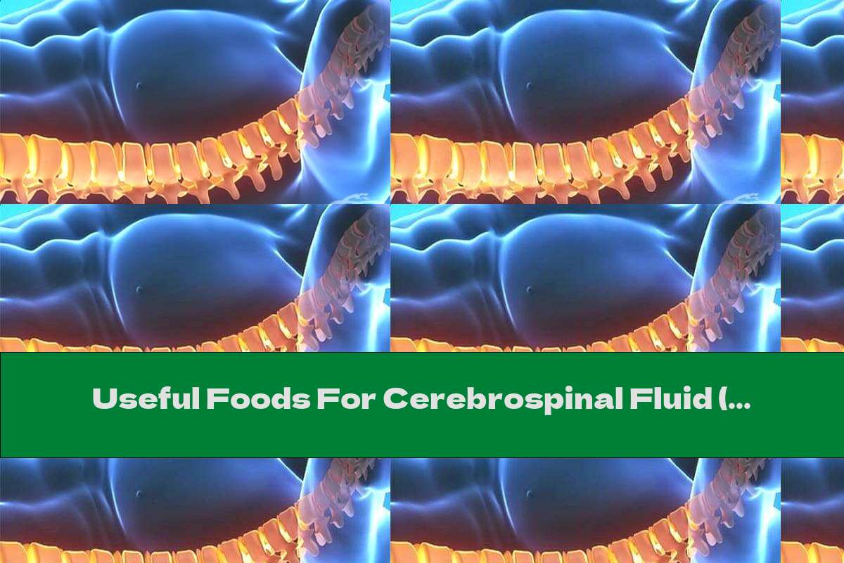 Useful Foods For Cerebrospinal Fluid (CSF)