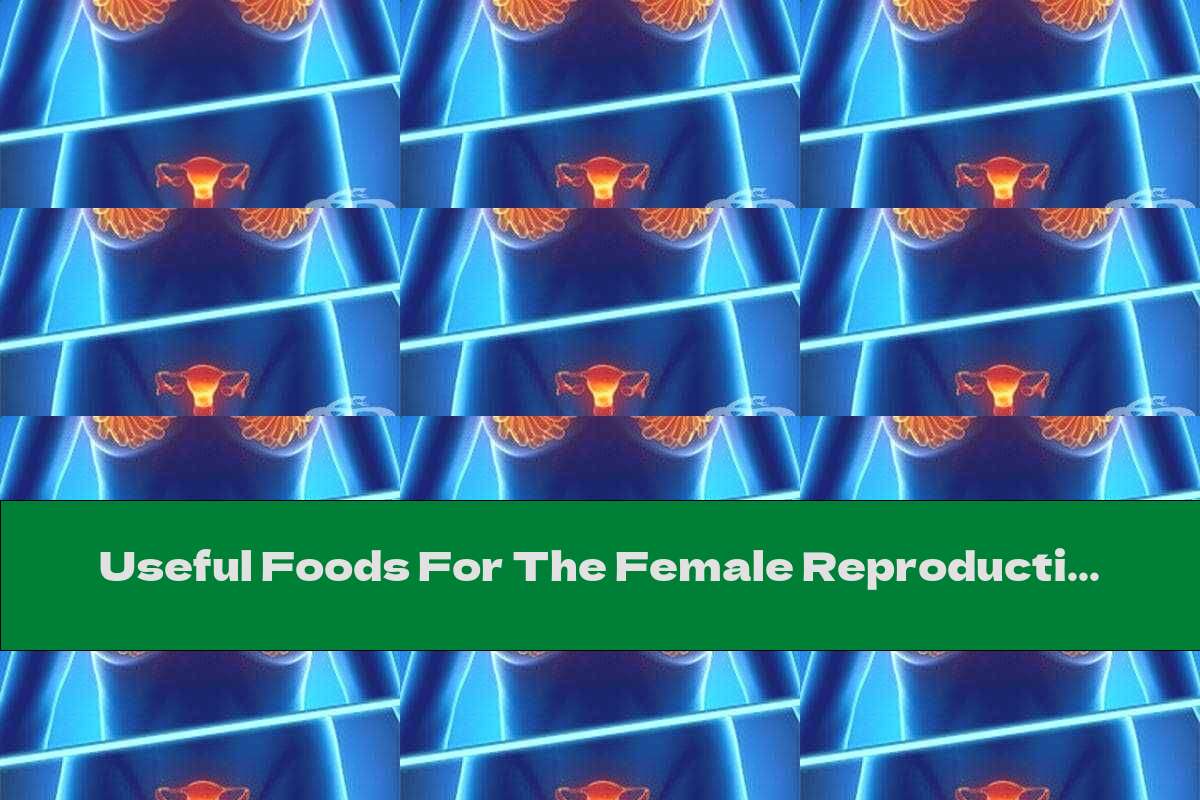 useful-foods-for-the-female-reproductive-system-this-nutrition