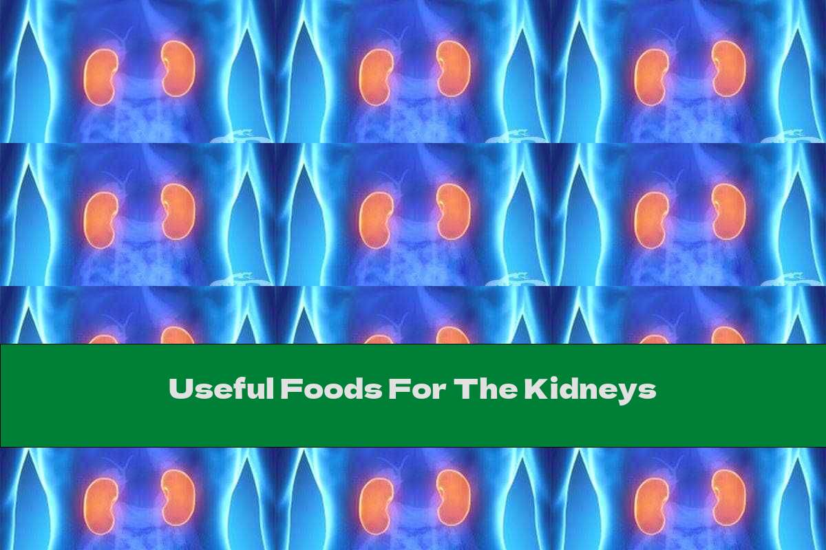 Useful Foods For The Kidneys