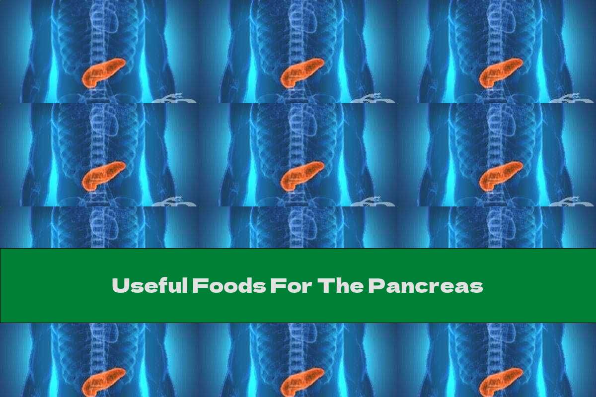 Useful Foods For The Pancreas This Nutrition