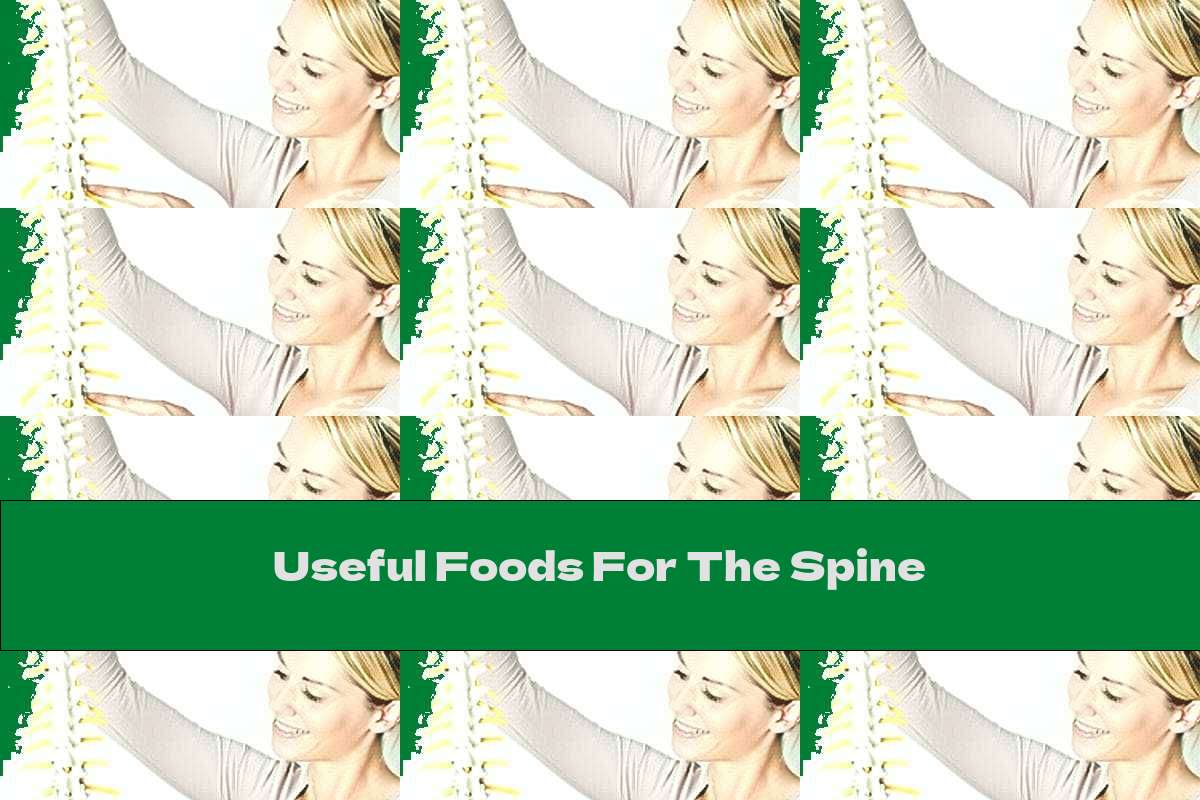 Useful Foods For The Spine