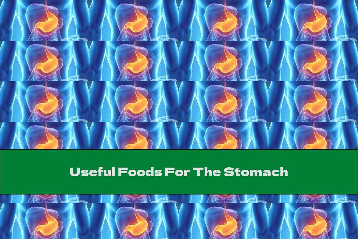 Useful Foods For The Stomach