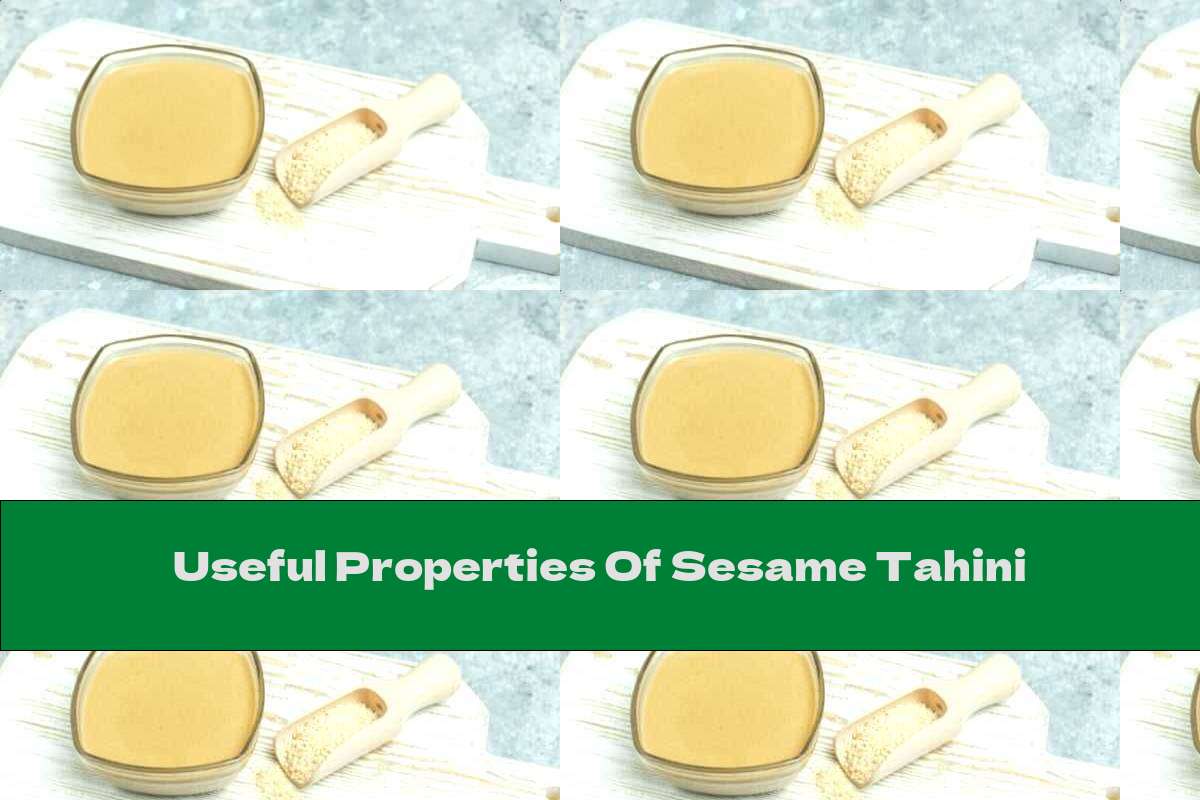 Useful Properties Of Sesame Tahini