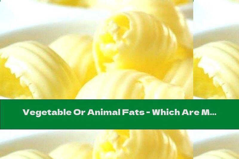 Vegetable Or Animal Fats - Which Are More Harmful?