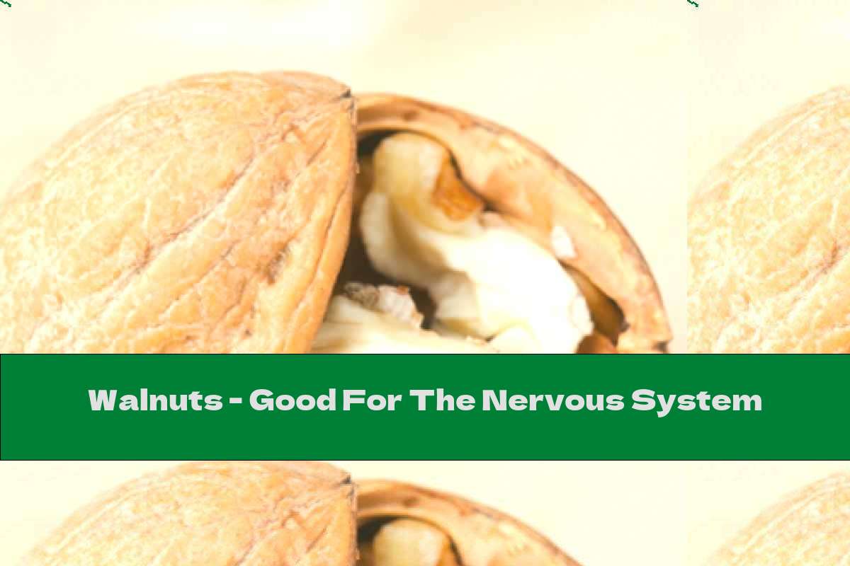 Walnuts - Good For The Nervous System