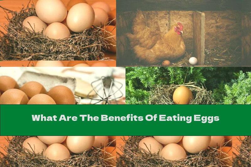 What Are The Benefits Of Eating Eggs