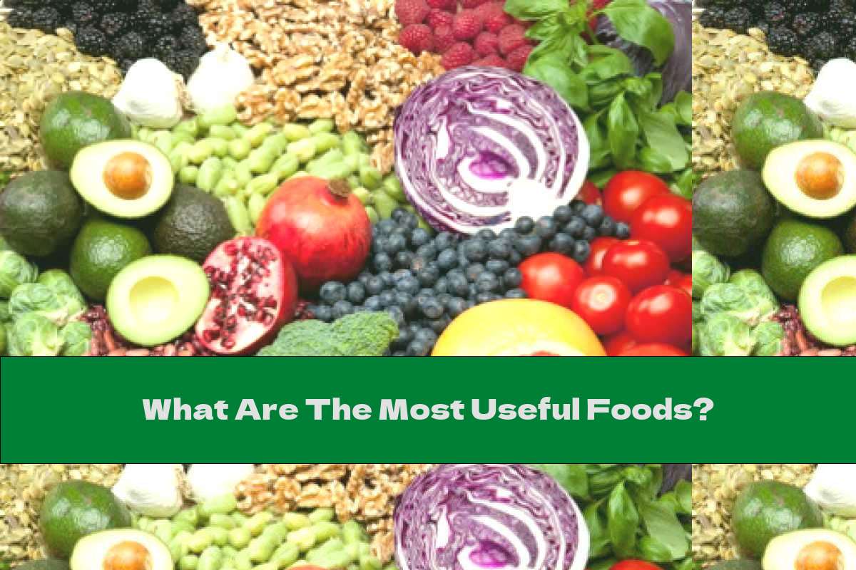 What Are The Most Useful Foods?