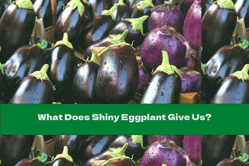 What Does Shiny Eggplant Give Us?