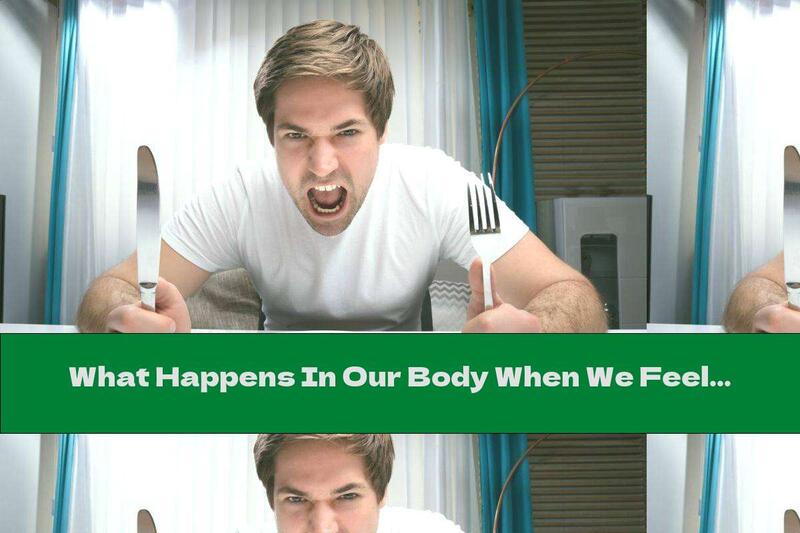 What Happens In Our Body When We Feel Hungry?