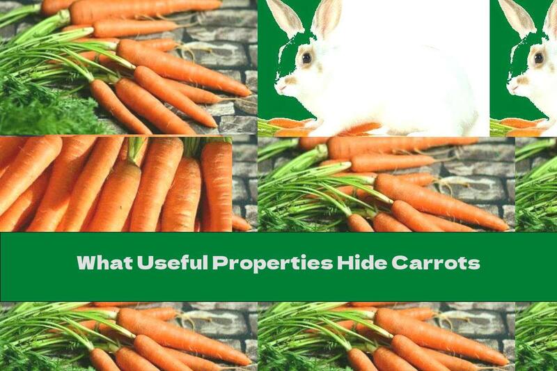 What Useful Properties Hide Carrots