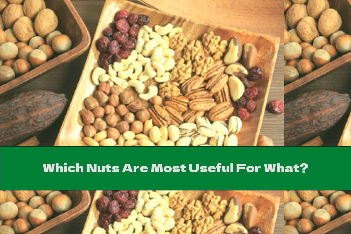 Which Nuts Are Most Useful For What?