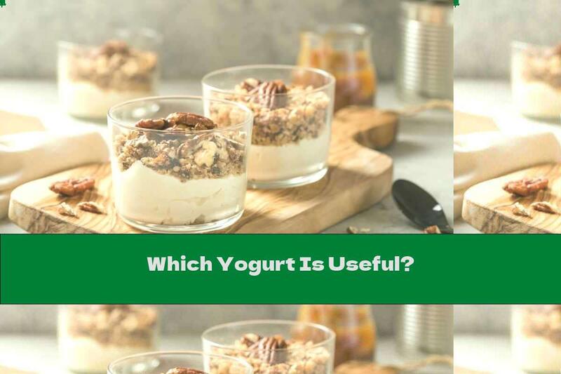 Which Yogurt Is Useful?