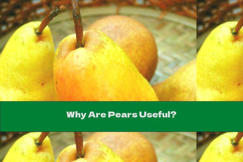 Why Are Pears Useful?