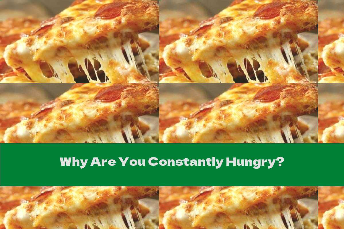 Why Are You Constantly Hungry?